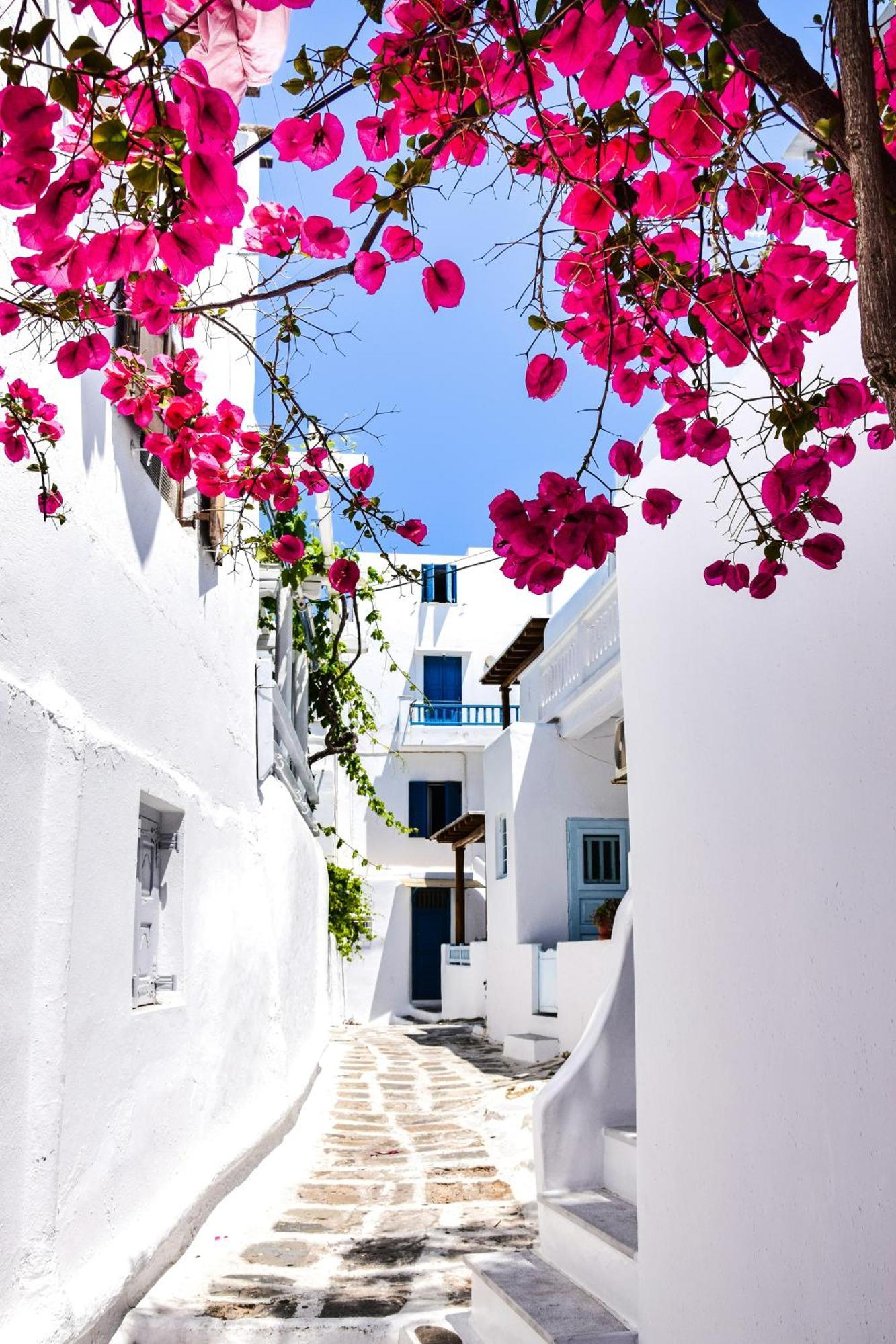 Aniko Suites White Alley Mykonos Town Εξωτερικό φωτογραφία